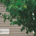 Сайдинг Ю-Пласт TIMBERBLOCK Пихта (Тимберблок) Cахалинская купить в Евпатории